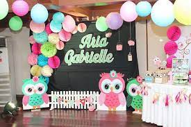 Owl themed baby showers are popular as these lend a very cute touch to your party. Owl Party Decorations Wild Country Fine Arts