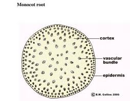 Home science form 1 notes; Biology Questions And Answers Form 2 High School Biology Tests Exams