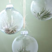 10 Ways To Fill A Clear Glass Christmas Ornament