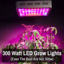 Led growing lamps are taking the the world by storm, increased yields and lower running costs clearly the led grow light is the most expensive option but in the long run it works out cheaper as they last longer & use less energy. 300 Watt Led Grow Lights Even The Best Are Not 300w