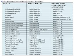 Physical Therapy Rom Chart The Gallery For