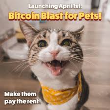 By sasha lekach 3 hours ago. Bling Posts Facebook