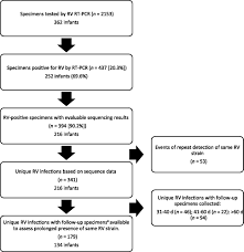 Images for human rhinovirus diagram. Duration Of Rhinovirus Shedding In The Upper Respiratory Tract In The First Year Of Life American Academy Of Pediatrics