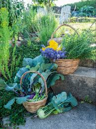 Pin Auf Dekoration Im Garten
