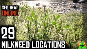 Red Dead Redemption 2 Online Milkweed Locations Youtube