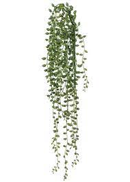 Pin On Green Thumb