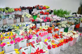 Floridawholesaleflorist.com has been informing visitors about topics such as wholesale wedding flowers, wholesale flowers and wholesale fresh flowers. Florida Wholesale Florist Lee Rd Home Facebook