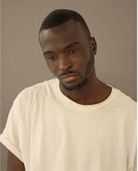 ᐅ Illinois Criminal Records 2009-2026