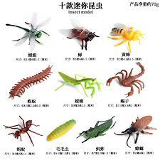 Maybe you would like to learn more about one of these? 10 Teile Satz Kleine Insekten Tiere Modell Gras Trichter Bee Dragonf Mantis Action Figuren Figurine Miniatur Bildungs Nettes Kind Spielzeug Action Figures Aliexpress