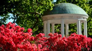 205 students at UNC-Chapel Hill inducted into Phi Beta Kappa