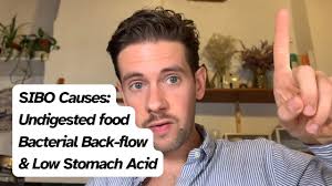 SIBO Solutions: The vicious cycle and under-digested foods.