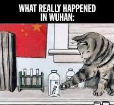 We started our first collab with jojo by pranking her so good!jojo has two pages so be sure to check both of them out! 2l Bzxl0sxbblm