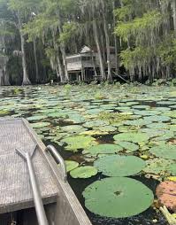 Millions of dollars in freshwater pearls discovered in Louisiana, Texas;  here's when, where