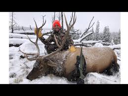 Enough Gun: Elk Stopping Power - Petersen'S Hunting