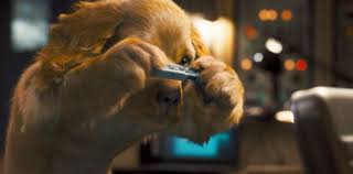 Kitty galore, rogue agent of the cat organization meows, is there to steal plans that will bring about her revenge upon dogs and the world. Cats And Dogs Revenge Of Kitty Galore Movie Review For Parents