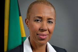 Jamaica New Energy Minister