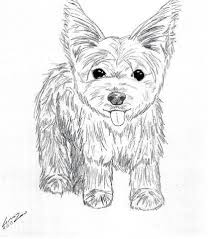 Yorkie Puppy Coloring Pages To Print Coloring Pages Puppy Coloring Pages Dog Coloring Page Coloring Pages