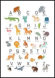 Isadora teich 5 min quiz think you know your quirky engli. Animal Alphabet Poster Alphabet Poster Animal Alphabet Kids Poster