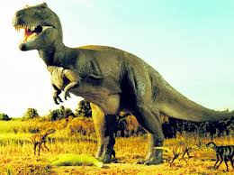We did not find results for: Dinozaurii Erau Animale Cu Sange Cald Monitorul De Galati Ziar Print Si Online