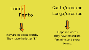 What S The Difference Between Longe And Longo In Portuguese Opposite Words Words Why Do People