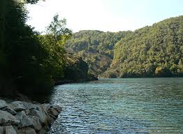 Peche A La Carpe En Lozere Etangs Lacs Prives Publics Passion Carpe