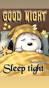Good night & sleep tight ߘ ԰ߌٰߒ