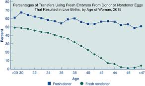 Age And Ivf In Vitro Fertilization Statistics