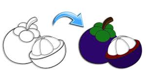 2 nama buah buahan dan gambarnya. Cara Menggambar Dan Mewarnai Buah Manggis Youtube