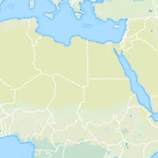 Image result for Cyphostemma glandulosissimum