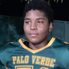 Johnny Dodd JR's Palo Verde Valley High School Football Stats