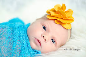 Ashley Robin Photography