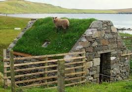 Le Toit Vegetal En 77 Photos Archzine Fr Toit Vegetal Toit Vert Iles Shetland