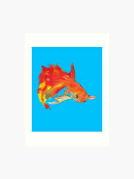 Colorful Fish Comet Goldfish Art Print