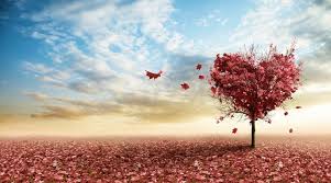 Image result for love images