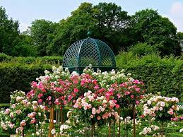 Bunny behind bars by dan rosengarten. Der Niederdeutsche Rosengarten Grosser Garten Herrenhauser Garten