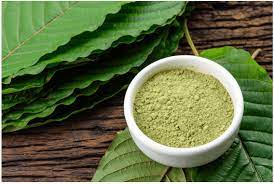 Buy Kratom Online: Best Kratom Vendors Of 2022 - The Village Voice