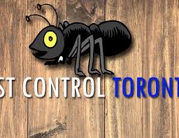 Contact pest control offers commercial & residential pest control services in the greater toronto area. The 7 Best Options For Pest Control In Toronto 2021