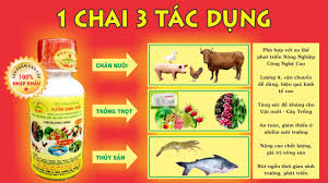 Chế phẩm sinh học VƯỜN SINH THÁI | Bạn Của Nhà Nông