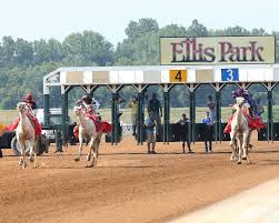 Between the live thoroughbred horse races, four camels, ostriches and zebras will all. Get Tied On Ellis Park Racing Right Ellis Park Racing Facebook