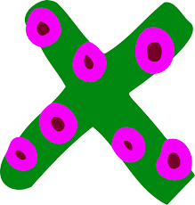 How to find free to use images on google search𝗦𝗵𝗼𝗿𝘁 𝗗𝗲𝘀𝗰𝗿𝗶𝗽𝘁𝗶𝗼𝗻: Alphabet Letter Case W Google X Free Commercial Clipart Circle Png Download Large Size Png Image Pikpng