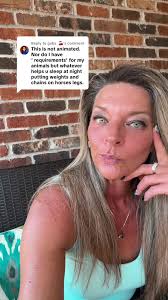 Replying to @gabs 🍒 No requirements in jumping🤔 #saddleseat #morgan  #saddlebred #horse