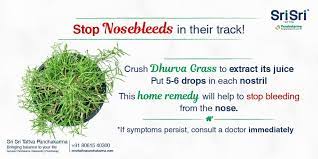 Allergies Infection Injury Etc Can Lead To Nosebleeds Or Epistaxis Here Is A Simple Way To Arrest The Flow Of Nasal Blee Home Remedies Persistence Remedies