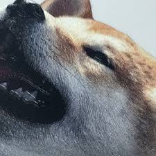啾咪柴犬超萌阿呆嘟嘟f白 聖誕節 iphone 6系列 3d立體浮雕列印 悠遊卡手機殼 愛恩愛精品 pinkoi animals penguins