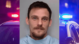 Sheriff: Champaign man arrested for battering girlfriend, stealing truck,  and gun