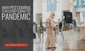 The hybrid pest control team will also improve their ability and skills according to your liking, only to give what you expect in terminating pests and insects. Why Pest Control Is Necessary During The Pandemic
