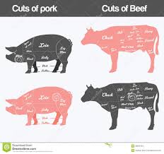 Illustration Of Beef Pork Cuts Chart Stock Vector