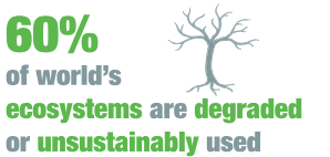 Unctad Dgff2016 Sdg Goal 15 Life On Land