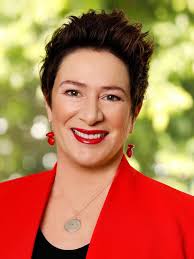 Brisbane City Council election: Full list of 2020 ward candidates