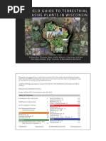 Image result for Persicaria hystricula