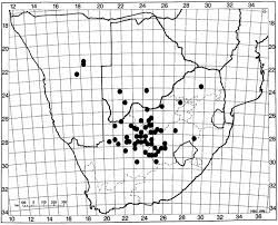 Image result for Pentzia